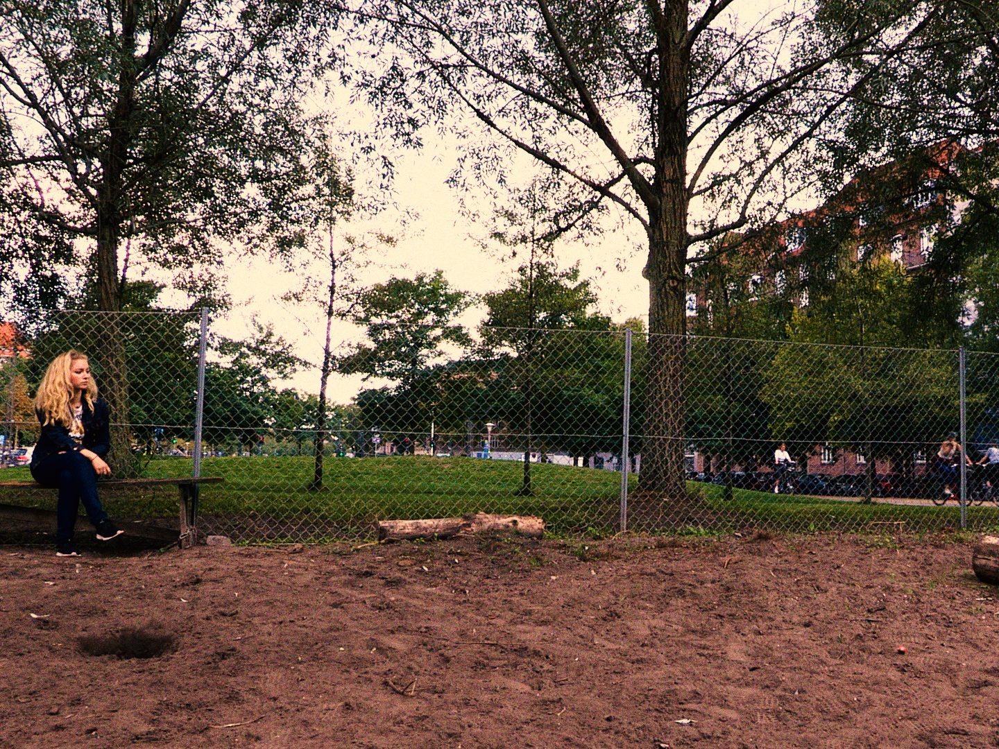 Dog Yard